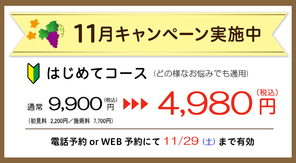 2025年11月のキャンペーン