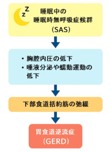 睡眠時無呼吸症候群→胃食道逆流性