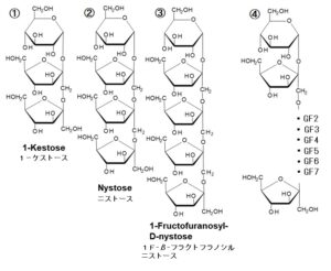 フラクトオリゴ糖