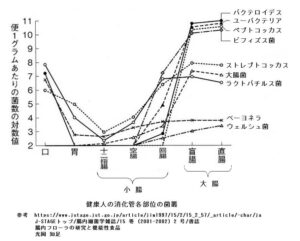 菌の分布