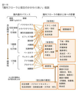 腸内フローラと宿主のかかわり