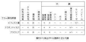 菌叢の代謝