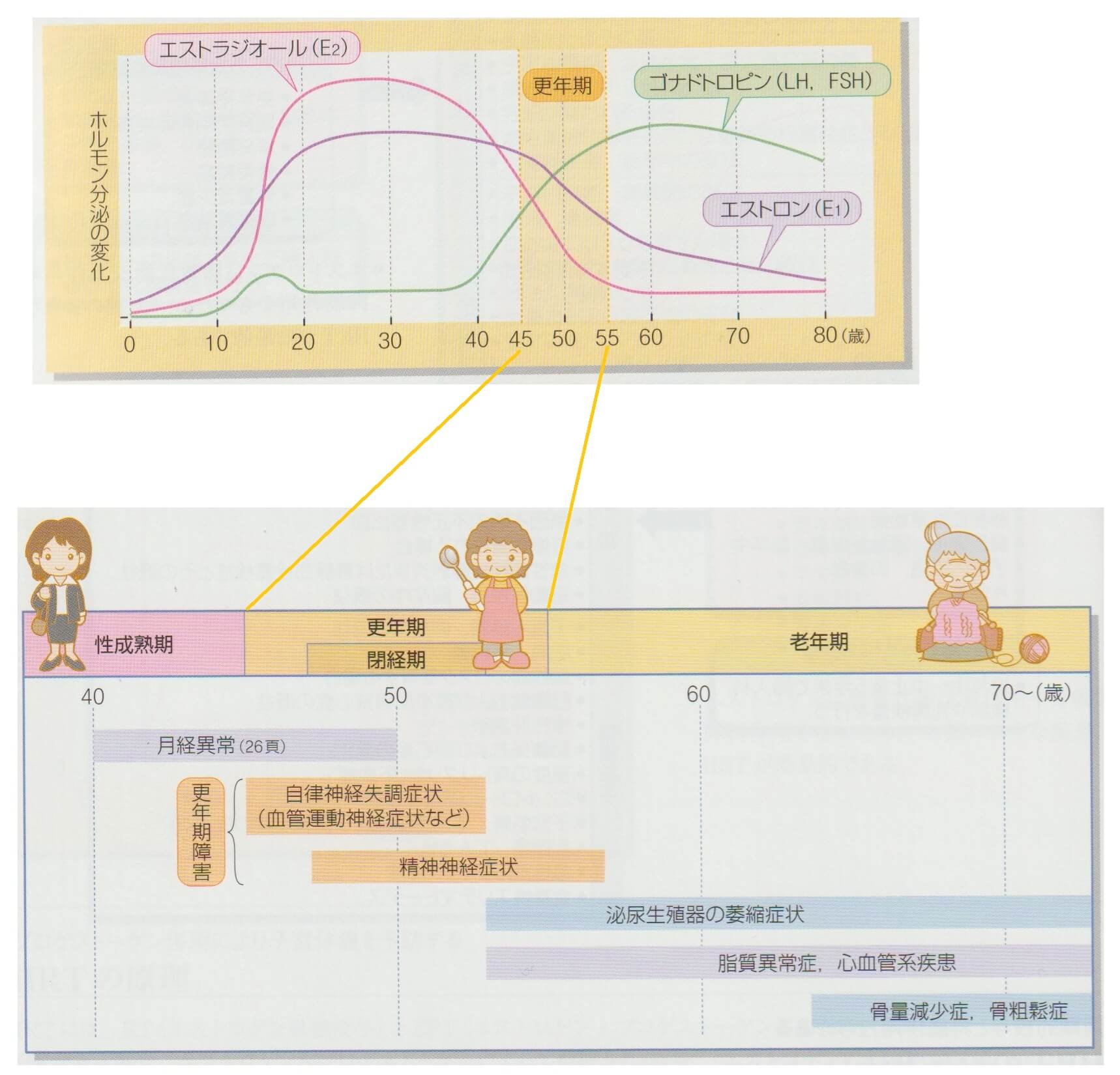 女性ホルモンのバランスと症状