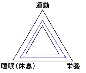 健康体の三角形