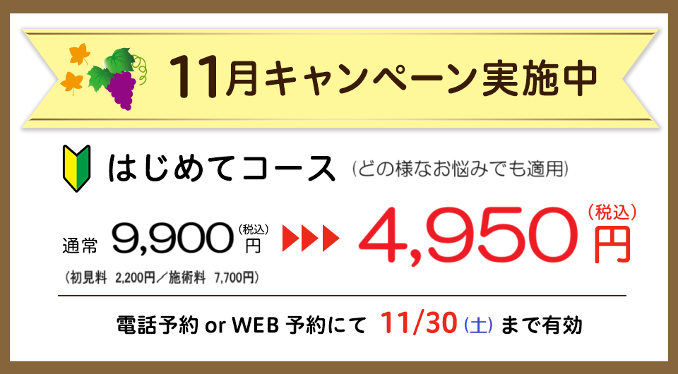 2024年11月キャンペーン