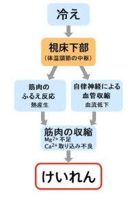 睡眠中のけいれん
