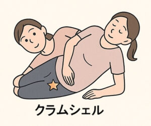 クラムシェル