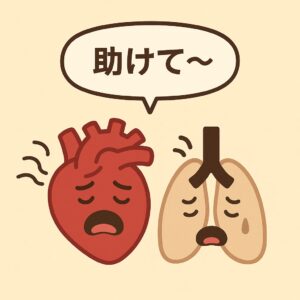 心臓と肺への負担