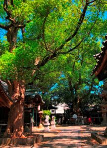 天神ノ森天満宮
