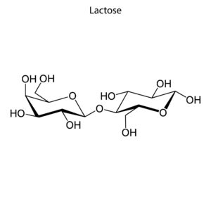 ラクトース