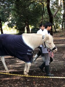 御神馬　白雪号