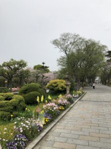 住吉公園の花と桜
