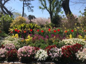 住吉公園の花壇