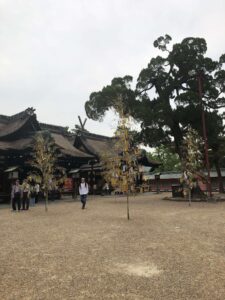 住吉大社の夏越しの大祓