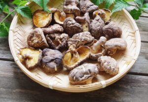 乾燥させた椎茸