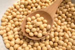大豆