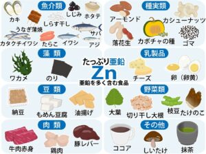 亜鉛を多く含む食品