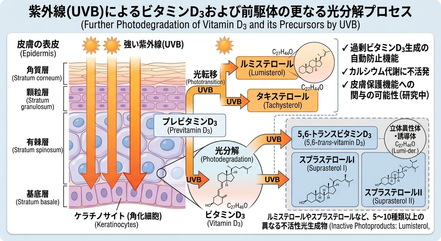 VD生成プロセス(光分解)